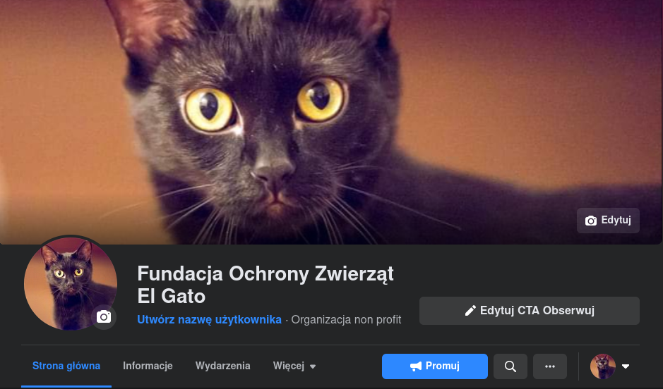 Fundacja Ochrony Zwierząt El Gato